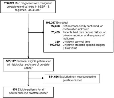 Treatment-Emergent Neuroendocrine Prostate Cancer: A Clinicopathological and Immunohistochemical Analysis of 94 Cases